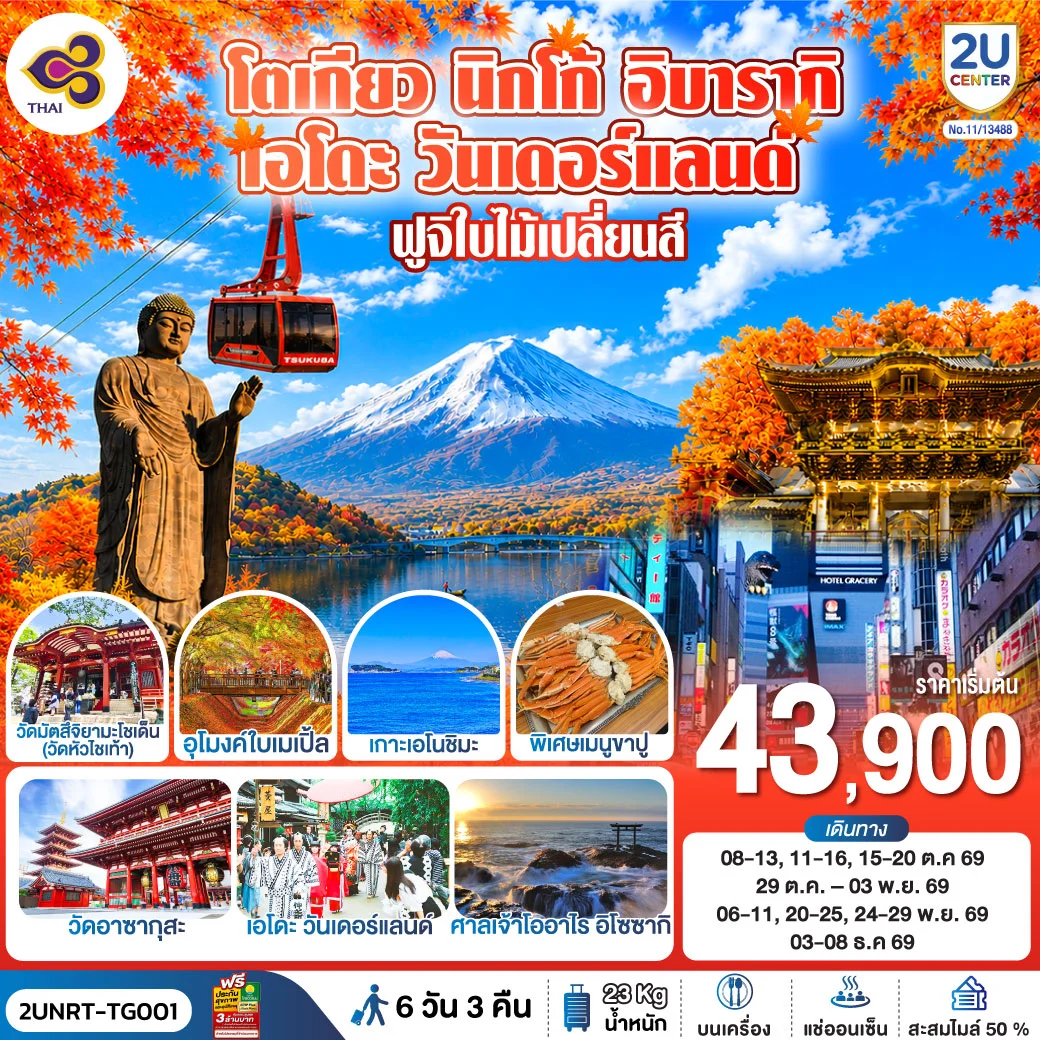 ทัวร์ญี่ปุ่น โตเกียว นิกโก้ เอโดะ วันเดอร์แลนด์ ฟูจิเปลี่ยนสี 6วัน 3คืน (TG)